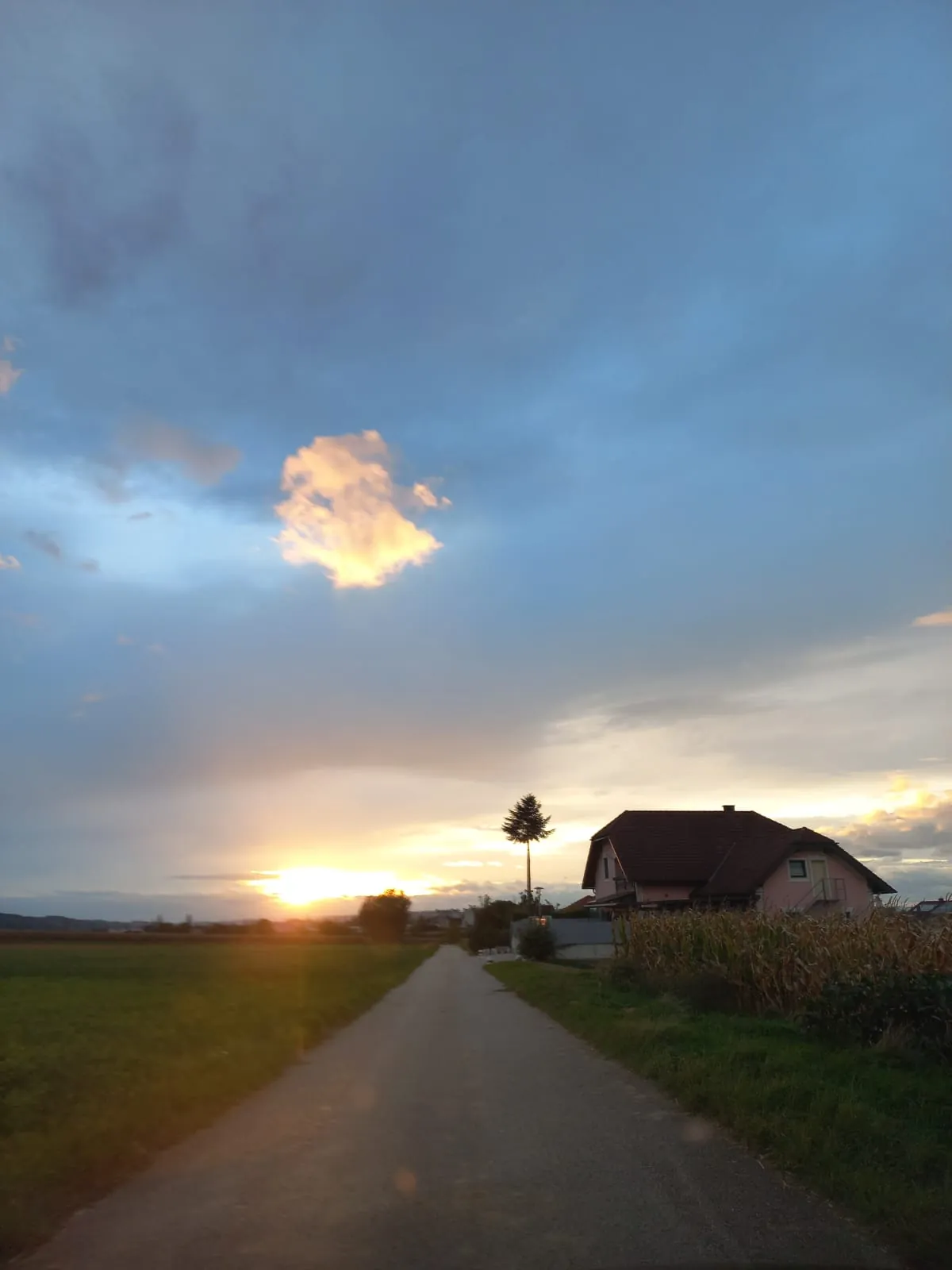 Feldweg bei Sonnenuntergang, am Ende des Weges steht das Haus