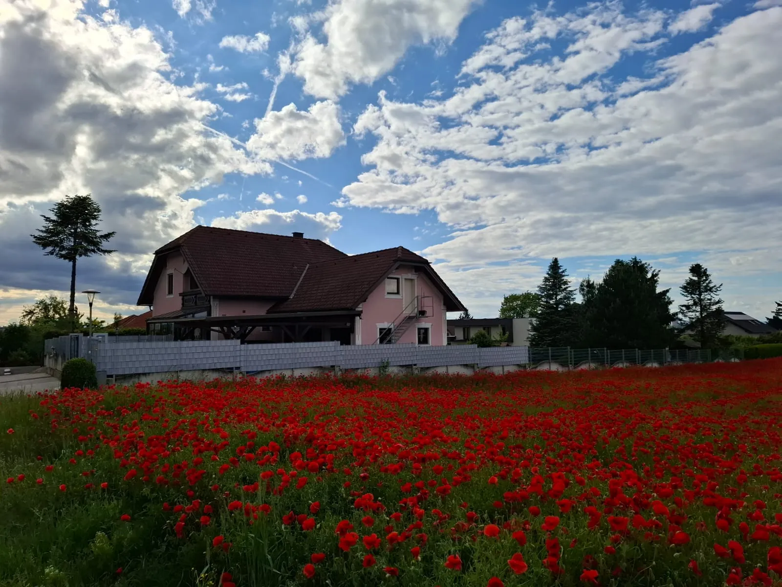 Das Haus hinter einem blühenden Mohnfeld